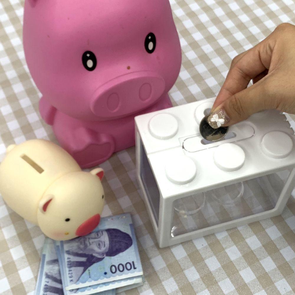 마리모 키우기 블럭 미니어항 화이트