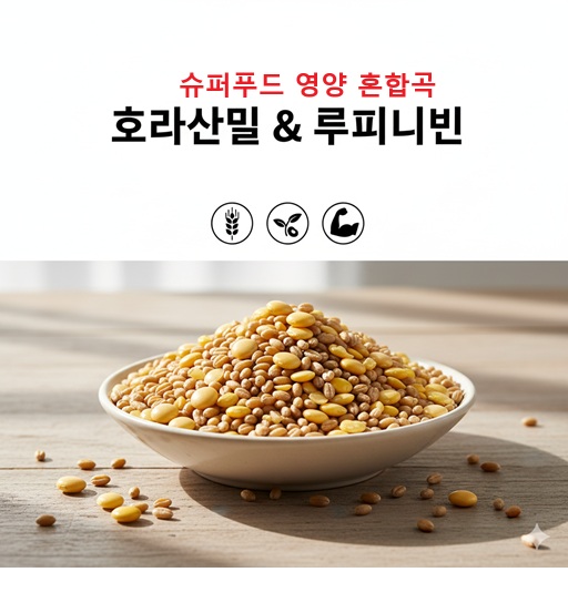 맛집 혼합 잡곡 특A급 카뮤트 쌀 루피니빈 호라산밀 통곡물 당뇨 쌀 콩 맛집 2kg, 5개 - 메인 이미지