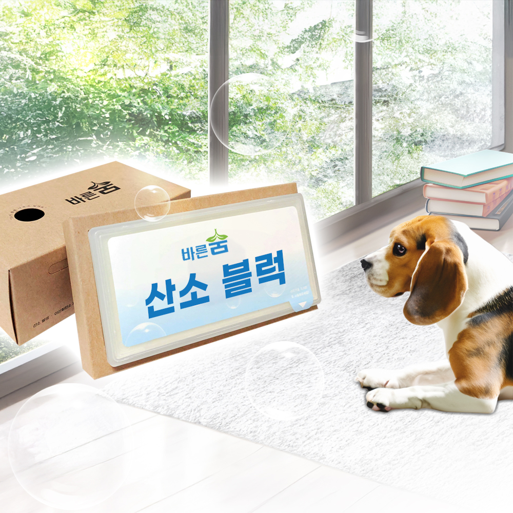 강아지 고양이 VOC 제거 호흡기 케어 산소발생기 고체 산소 가정용 공기정화 산소블럭 - 상세 이미지 3