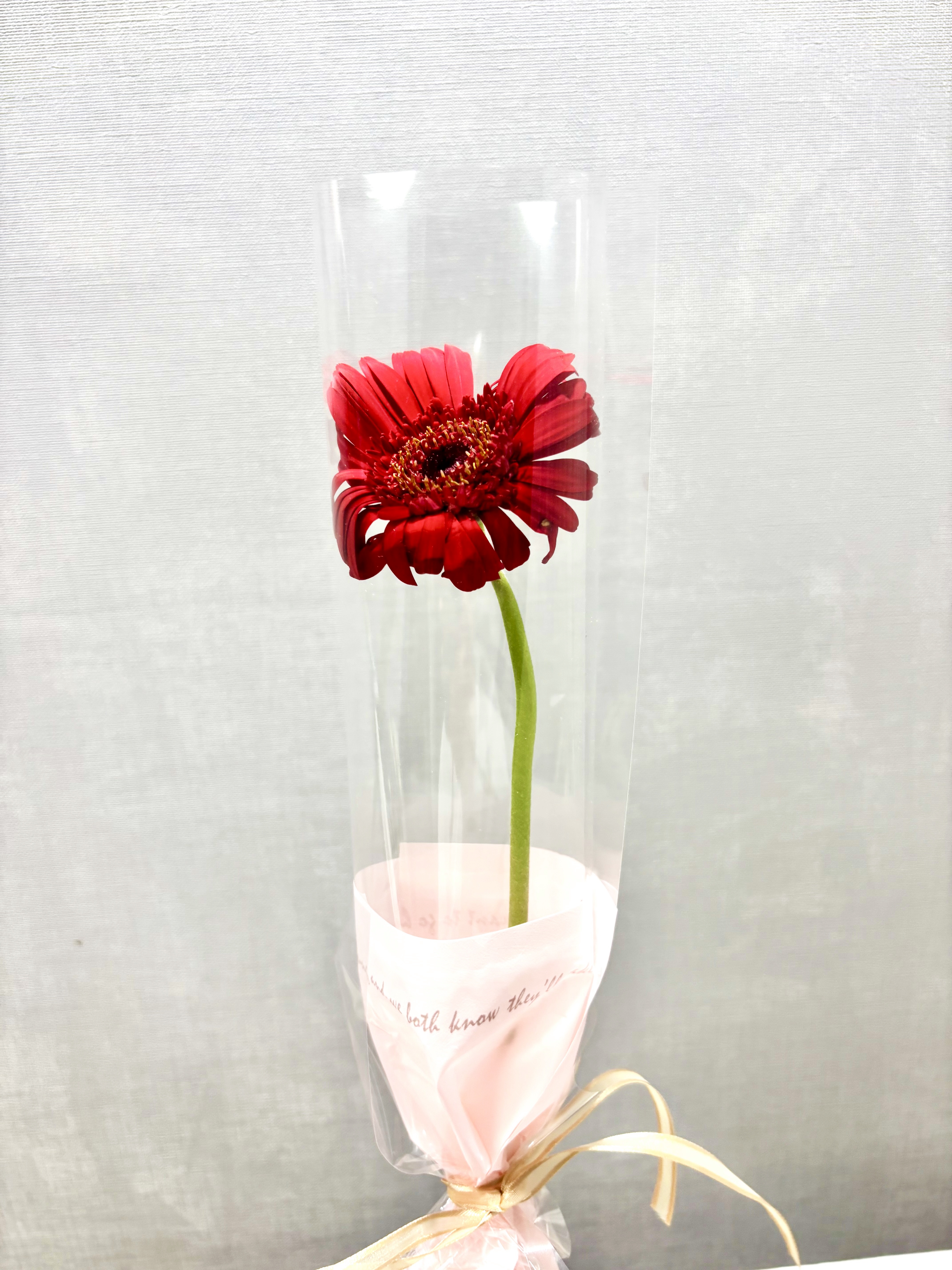 오묘한꽃집 한송이 꽃다발 거베라 카네이션 장미 소국 생화 미니 단체꽃 어린이집 유치원 - 상세 이미지 4