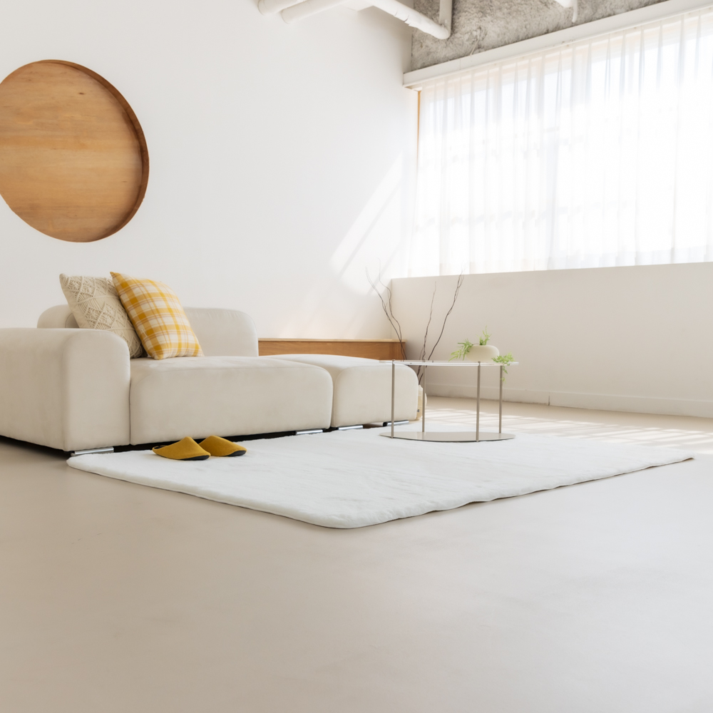 먼지없는 워셔블 장모 온감 러그 대형 거실 침실 원룸 에코퍼 화이트, 150x200