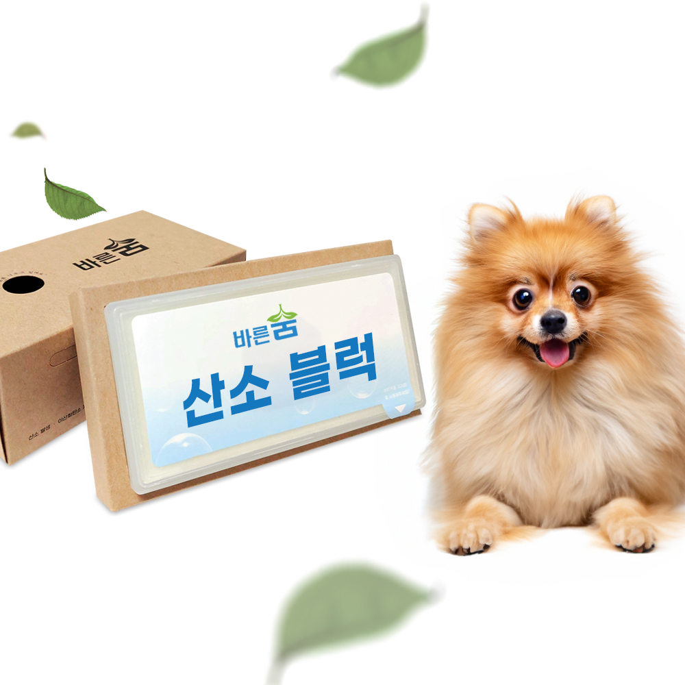 강아지 고양이 VOC 제거 호흡기 케어 산소발생기 고체 산소 가정용 공기정화 산소블럭 - 상세 이미지 2