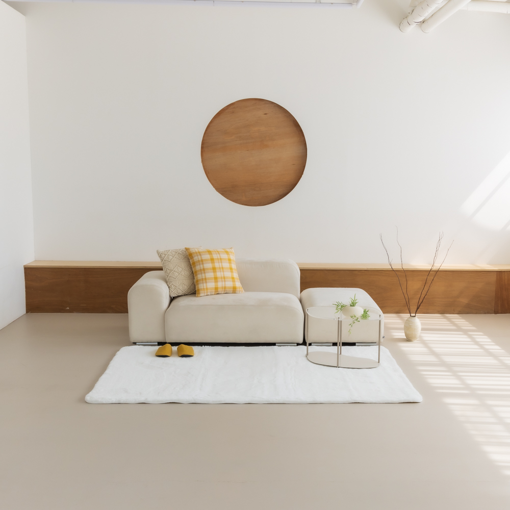 먼지없는 워셔블 장모 온감 러그 대형 거실 침실 원룸 에코퍼 화이트, 150x200