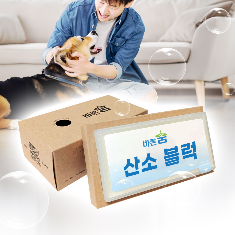 강아지 고양이 VOC 제거 호흡기 케어 산소발생기 고체 산소 가정용 공기정화 산소블럭 - 상품 이미지