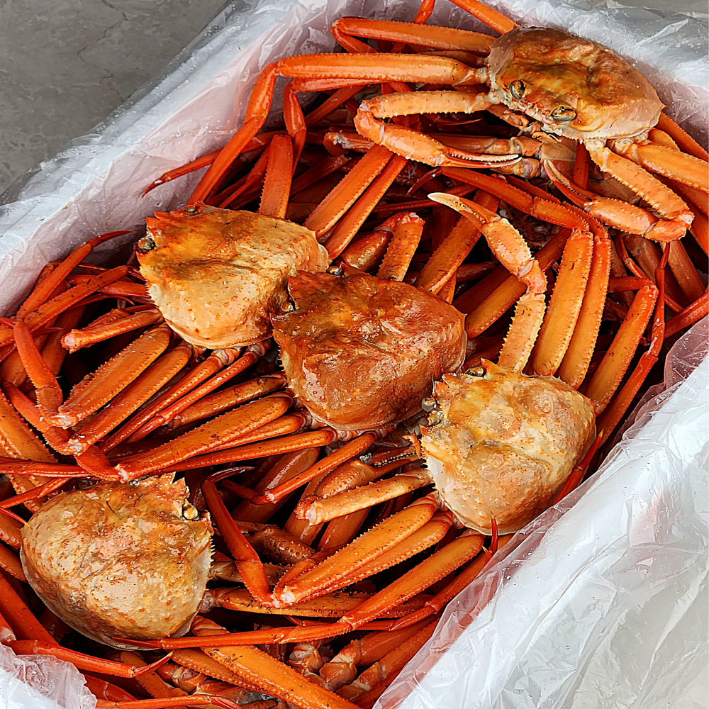 구룡포 홍게 연지홍게 박달 홍게살 수율 자숙 3kg