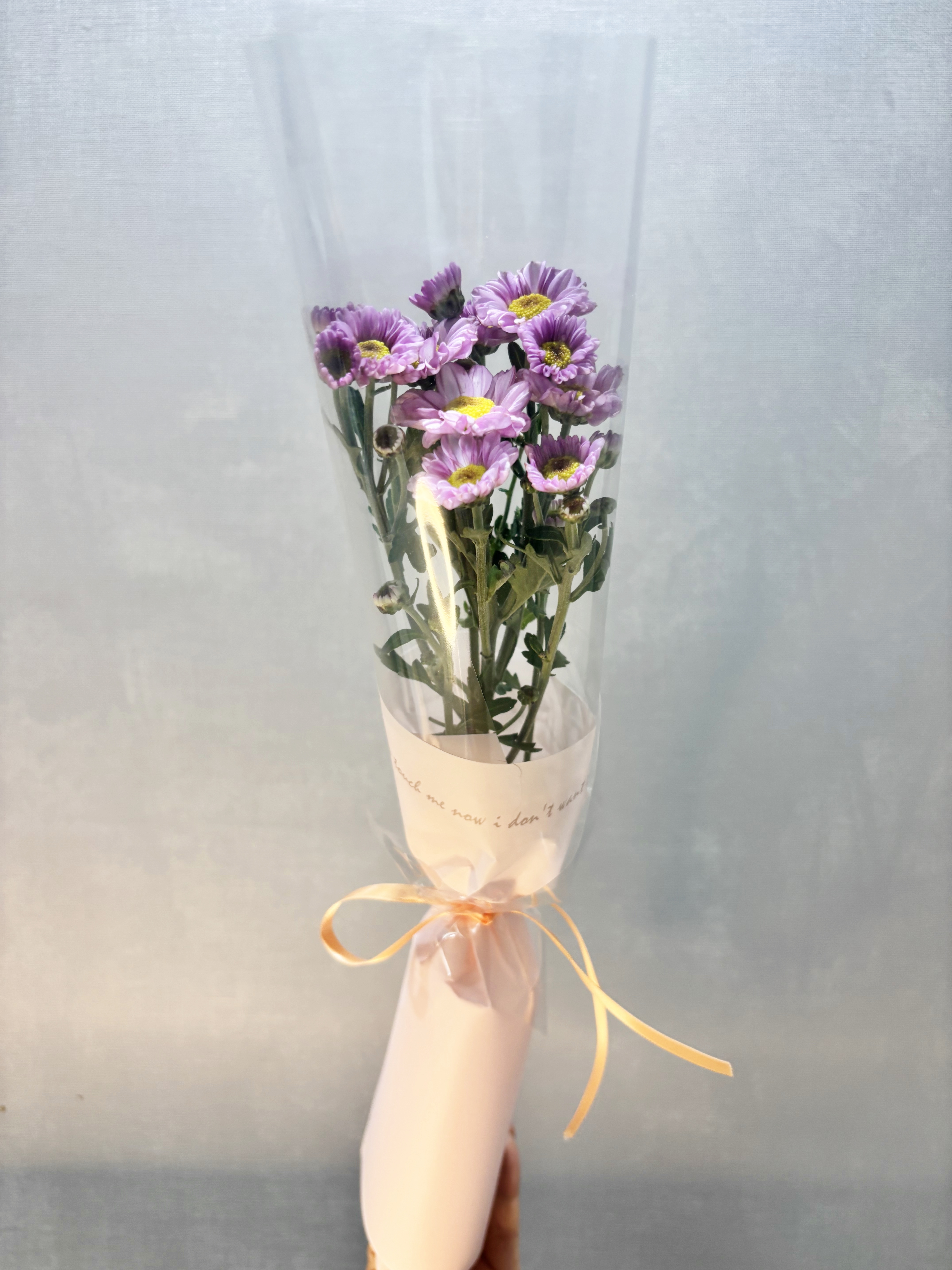 오묘한꽃집 한송이 꽃다발 거베라 카네이션 장미 소국 생화 미니 단체꽃 어린이집 유치원 - 상세 이미지 3