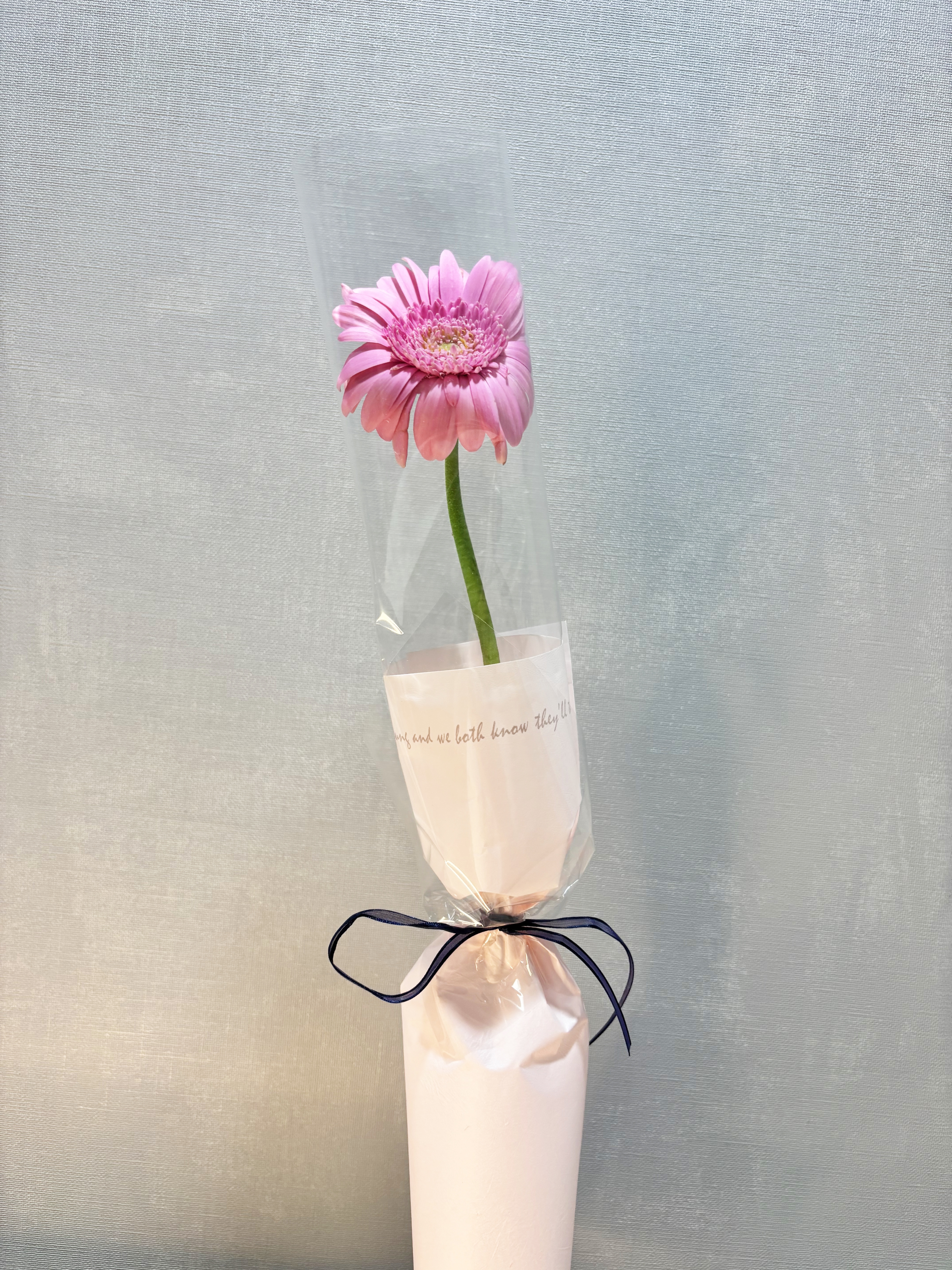 오묘한꽃집 한송이 꽃다발 거베라 카네이션 장미 소국 생화 미니 단체꽃 어린이집 유치원 - 상세 이미지 2