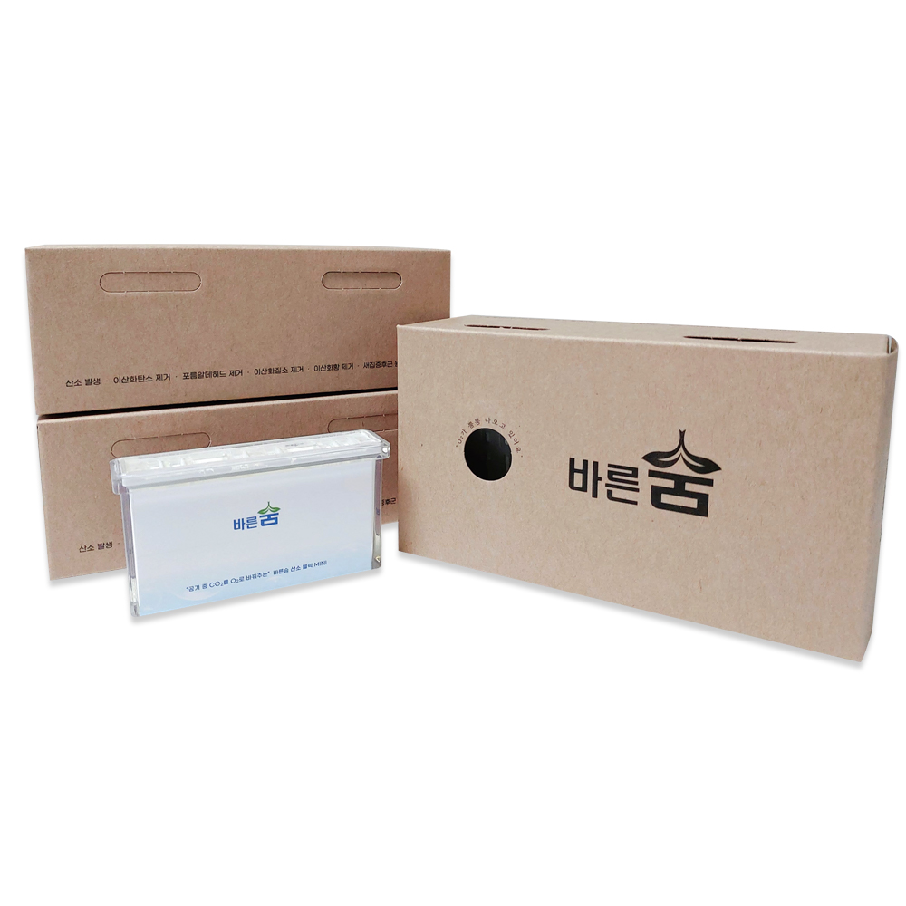 [강고랑 산소 키트] 강아지 산소캔 고양이 반려동물 휴대용 노견 애견 호흡기 케어 호흡곤란 이미지 7