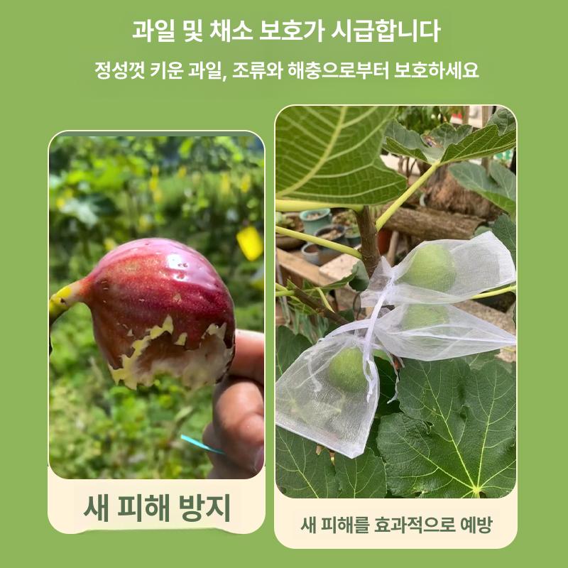 과일 망사 봉지 포도 메쉬 주머니 사과 그물망 작물 복숭아 포장지 봉투 싸개 - 상세 이미지 3