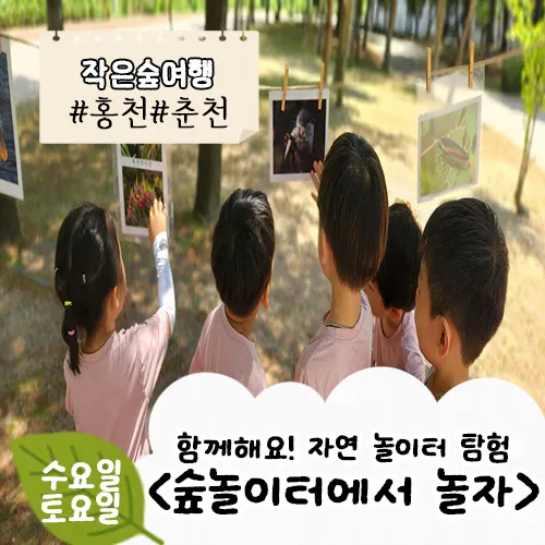 [홍천/춘천] 숲놀이터에서 놀자 by (주)약용식물교육개발원 - 상품 이미지