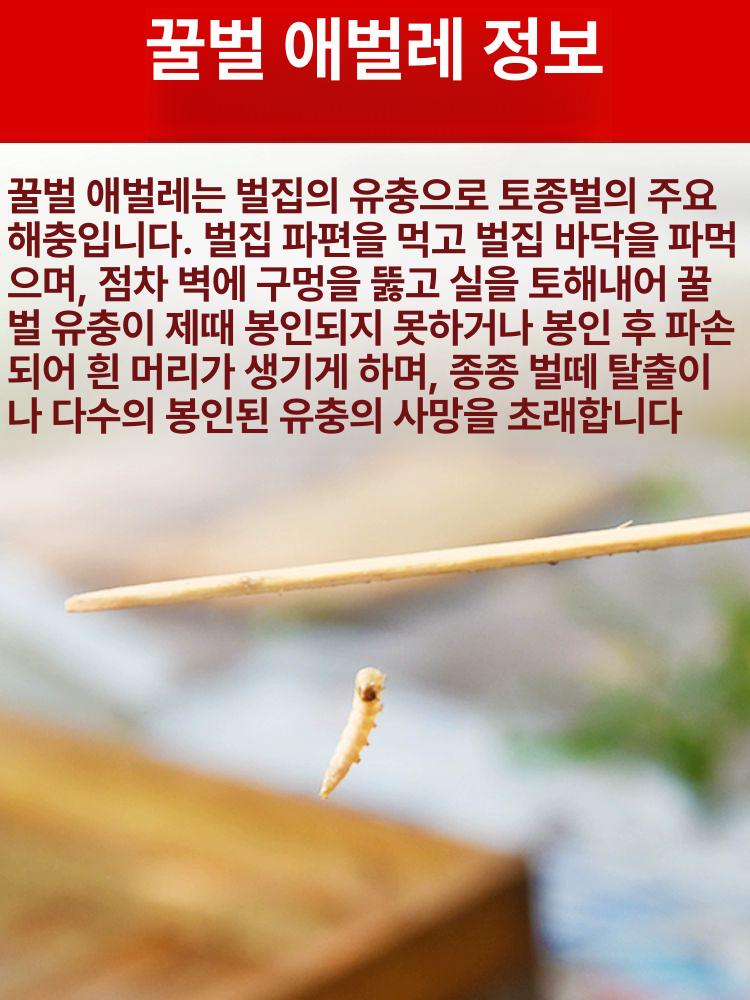 소충스틱 100개입 양봉소충 막대기 꿀통 박멸 해충 꿀벌 번데기 벌꿀 원형 벌집 우드칩 10개입 10팩 - 상세 이미지 3
