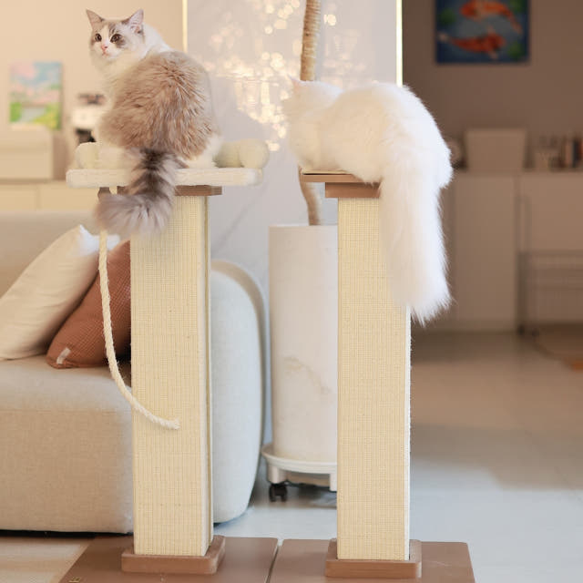 아토주 파우제 대형 80cm 수직 기둥 고양이 스크래쳐