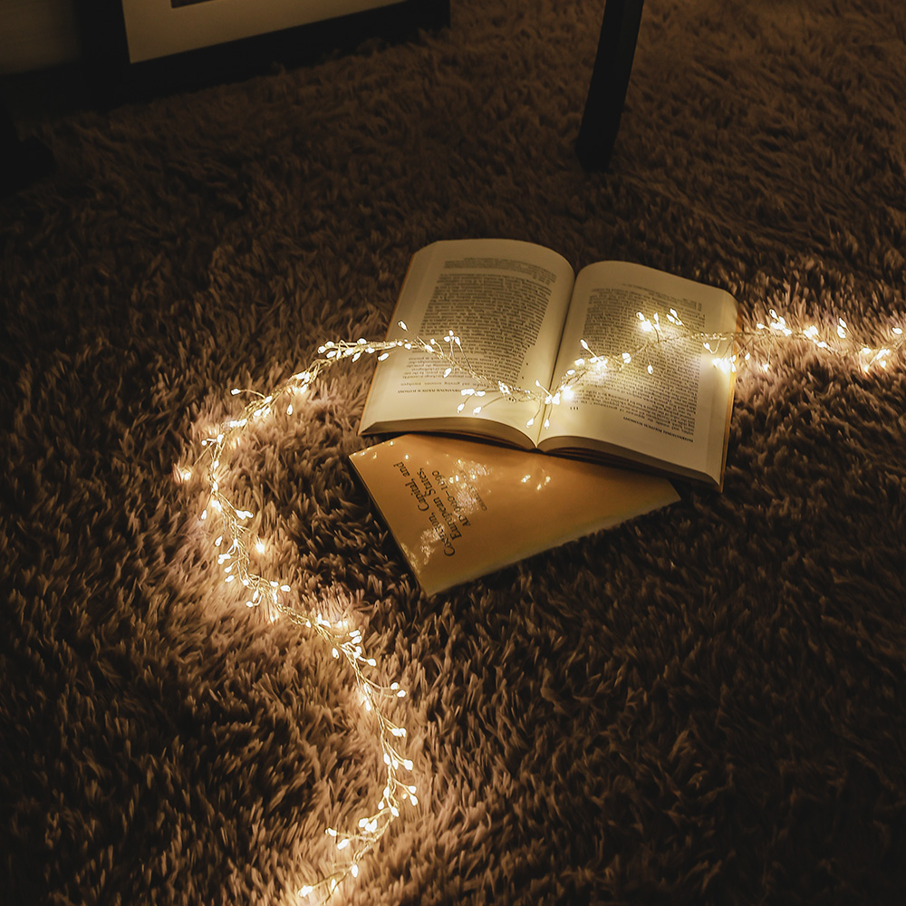 윈터스케치 크리스마스 트리 LED 5배 촘촘한 지네 전구 줄조명 전구색 클러스터 1000구