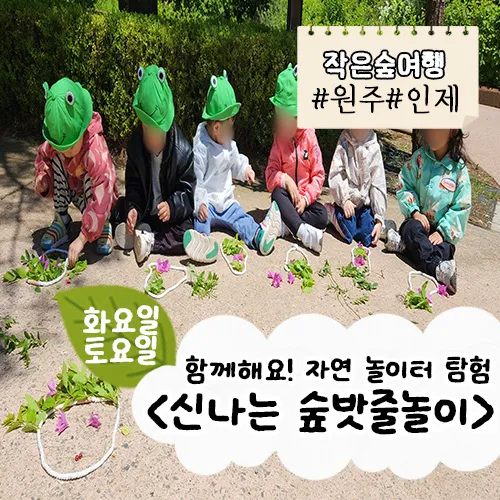 [원주/인제] 신나는 숲밧줄놀이 by (주)약용식물교육개발원 - 상품 이미지
