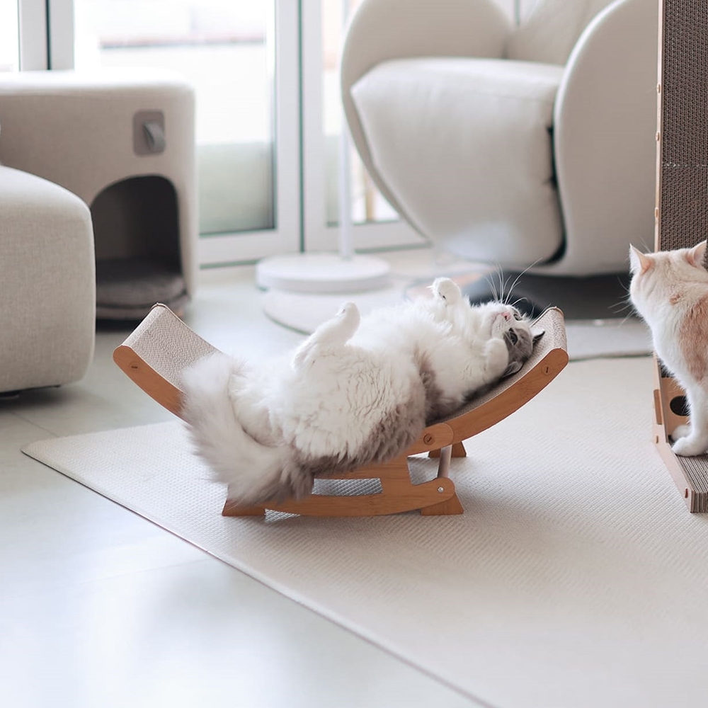 아토주 유라인 고양이 다기능 스크래쳐 소형 2 in 1 고정모드 흔들모드 솔직 후기 | 실제 사용자 리뷰 총정리 - 대표 이미지