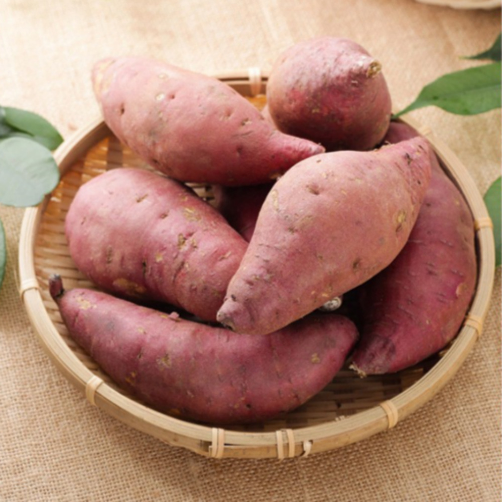 25년 해남 햇 꿀고구마 2kg 3kg 5kg 10kg - 상세 이미지 2