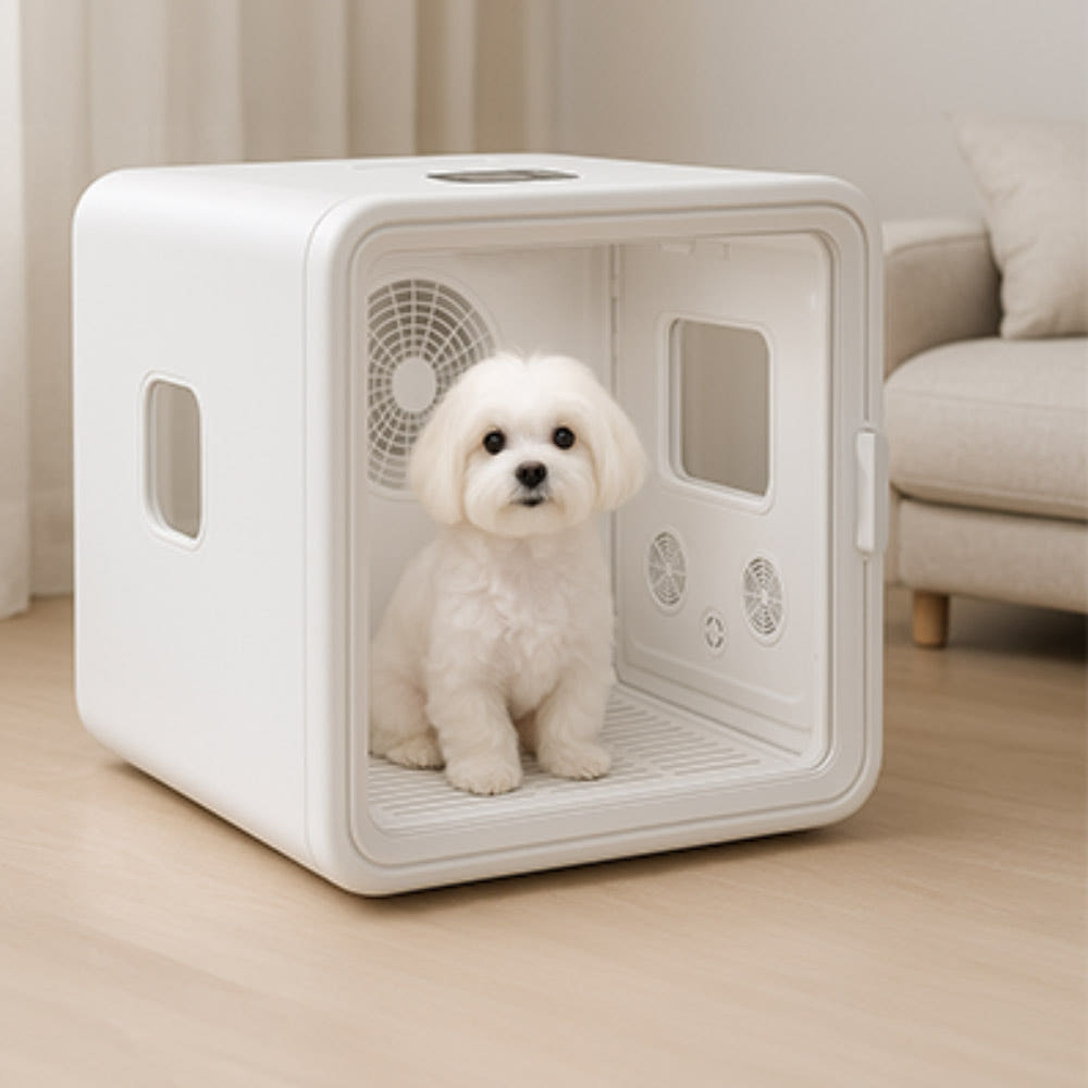 디클펫 드라이룸 사용 모습