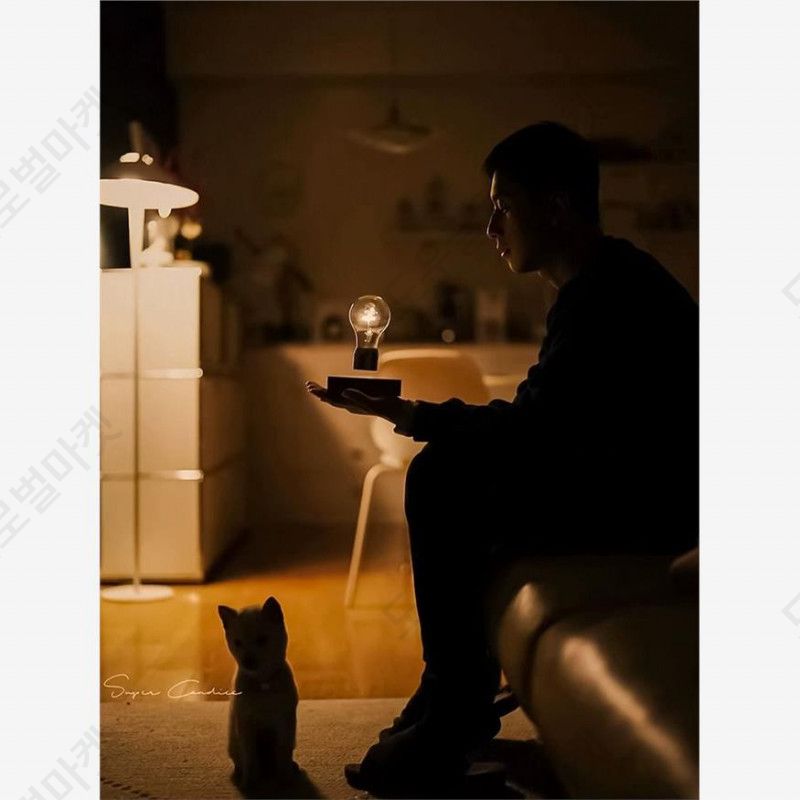 공중부양오브제 자기부상 LED 감성 무드등 침실 거실 이미지 6