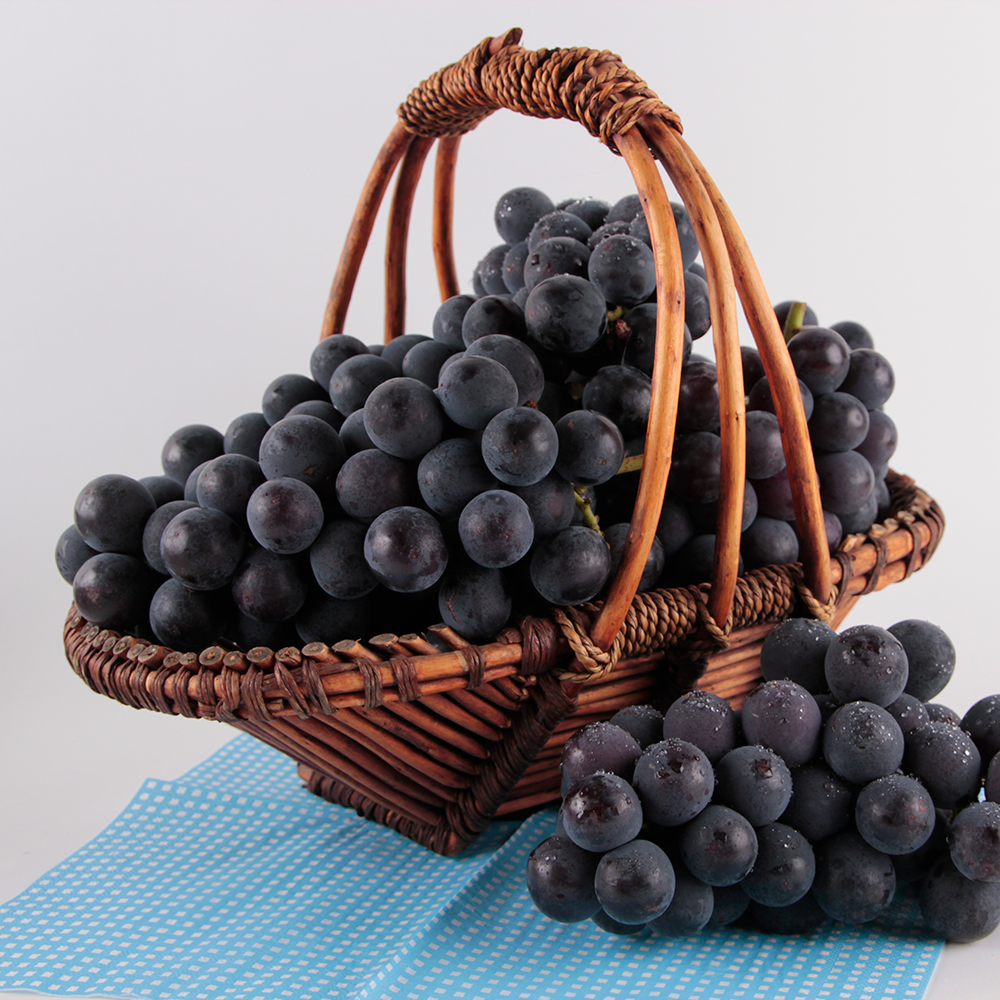 고당도 하우스 켐벨 포도 1kg 2kg 제철 산지직송 선물 세트 이미지 6