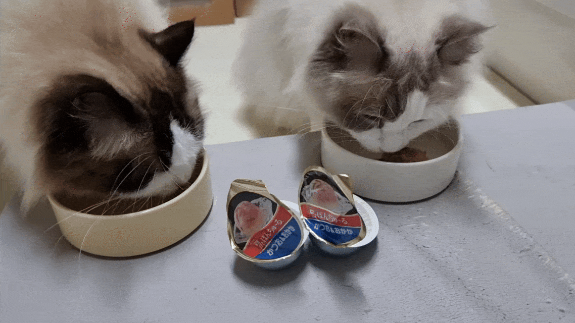 [유통기한]이나바 토퍼 후레이크 고양이 사료토핑 간식 진한가다랑어포육수믹스, 10g, 1개 이미지 2