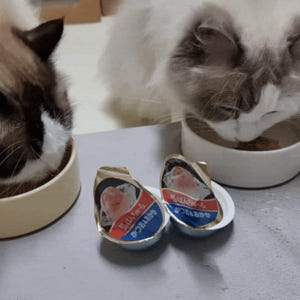 [유통기한]이나바 토퍼 후레이크 고양이 사료토핑 간식 진한가다랑어포육수믹... 솔직 후기 | 실제 사용자 리뷰 총정리 - 상품 이미지 2