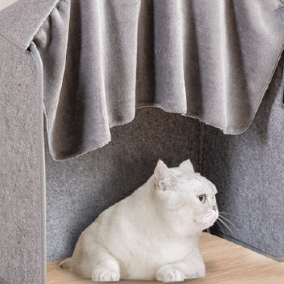 강아지 난로 고양이 히터 반려동물 난방기 전기 난방기구