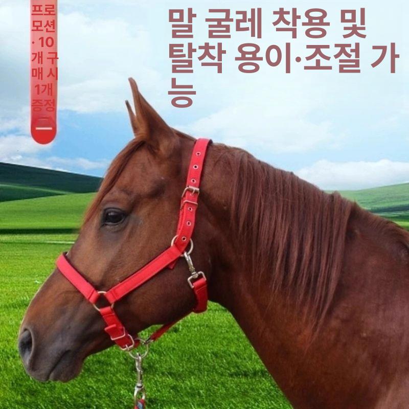 승마재갈 마장 장제사용품 당나귀 말 고삐 조랑말 노새 레드 소형 1.1m 미만 - 상세 이미지 3
