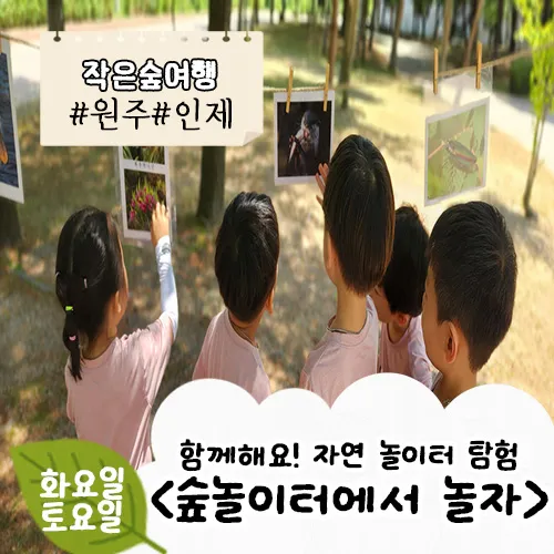[원주/인제] 숲놀이터에서 놀자 by (주)약용식물교육개발원 - 상품 이미지