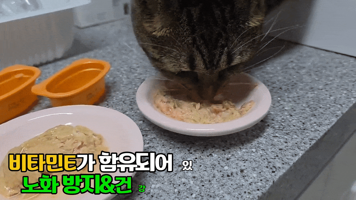 [유통기한]이나바 토퍼 후레이크 고양이 사료토핑 간식 진한가다랑어포육수믹스, 10g, 1개 이미지 4