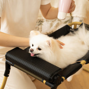 [소형]다리 아픈 반려동물도 편한 강아지 고양이 목욕 미용기구 펫그룸 소... 솔직 후기 | 실제 사용자 리뷰 총정리 - 상품 이미지 4