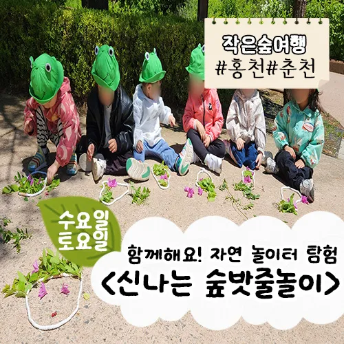 [홍천/춘천] 신나는 숲밧줄놀이 by (주)약용식물교육개발원 - 상품 이미지