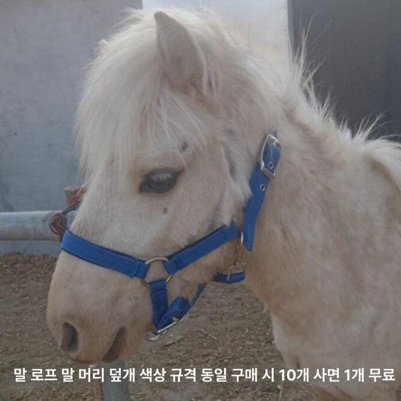 승마재갈 마장 장제사용품 당나귀 말 고삐 조랑말 노새 레드 소형 1.1m 미만 - 상세 이미지 4