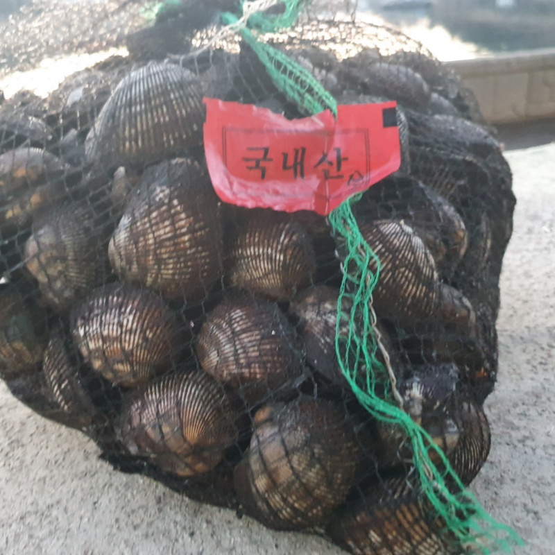 자연가득 남해안 겨울 조개의 진수 새꼬막 피꼬막 3kg 이미지 7
