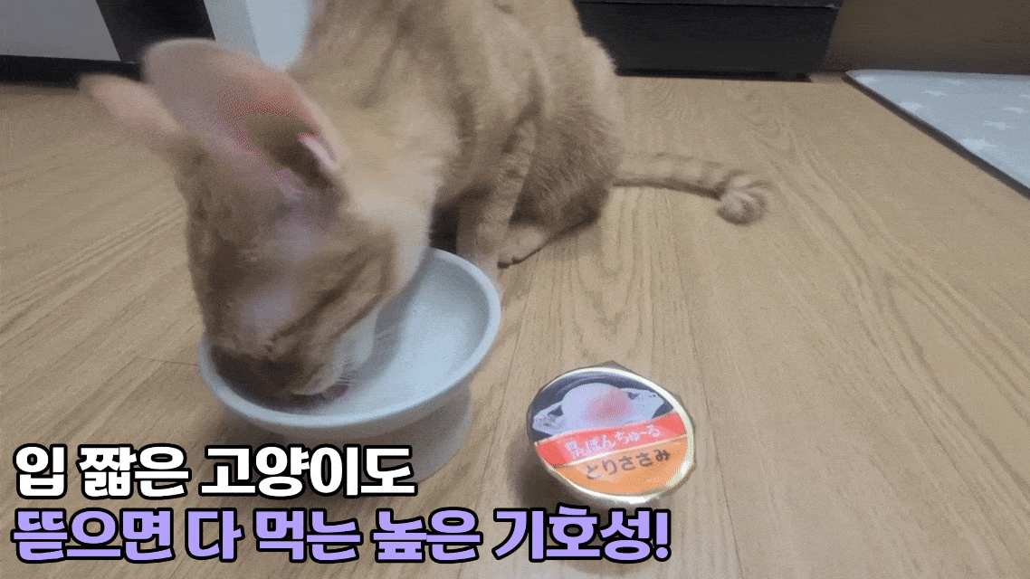 [유통기한]이나바 토퍼 후레이크 고양이 사료토핑 간식 진한가다랑어포육수믹스, 10g, 1개 이미지 3