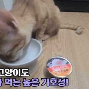 [유통기한]이나바 토퍼 후레이크 고양이 사료토핑 간식 진한가다랑어포육수믹... 솔직 후기 | 실제 사용자 리뷰 총정리 - 상품 이미지 3