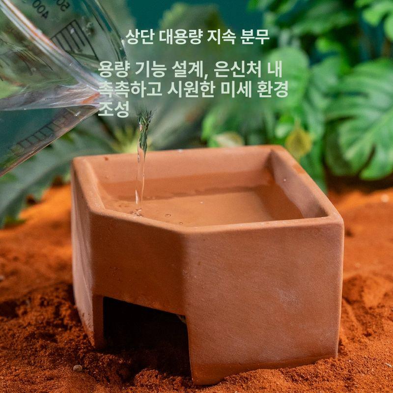 도마뱀 습식 은신처 아크릴사육장 풀하우스 파충류 케이크 아크릴장용 사육장 습은 레오파드게코 오각형 소형 8.5x8.5x6 - 상세 이미지 4