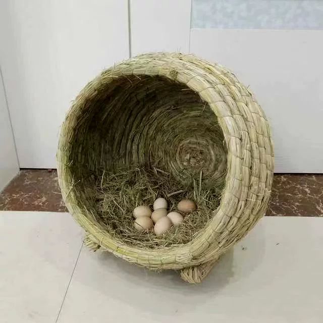 닭산란통 알둥지 알낳는집 닭알 밀짚 이동식 산란통 새둥지 메추라기 거위 야외 대형 부화둥지 35x35cm 대형 닭알 사은품없음 - 상품 이미지