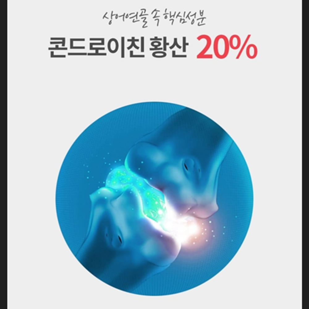 제일헬스사이언스 철갑상어 콘드로이친 180정 6개월 보스웰리아 상어연골 관절 연골 건강 - 상세 이미지 5