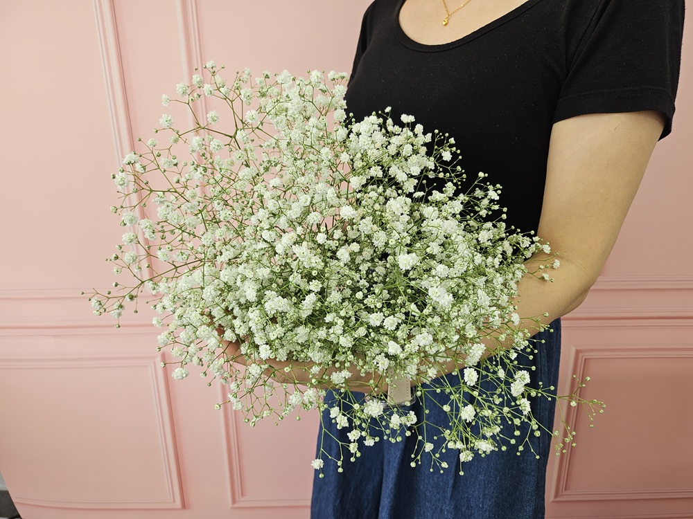 유스풀몰 흰색 안개 소형 생화 꽃배달싼곳 꽃 화훼농가돕기 이미지 3