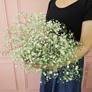 유스풀몰 흰색 안개 소형 생화 꽃배달싼곳 꽃 화훼농가돕기 솔직 후기 | 실사용자 리뷰 분석 - 상품 이미지 3