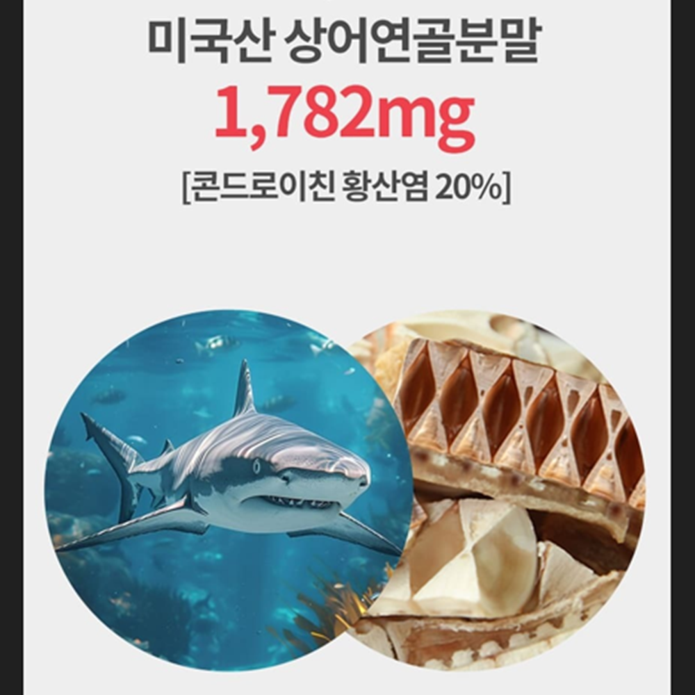 제일헬스사이언스 철갑상어 콘드로이친 180정 6개월 보스웰리아 상어연골 관절 연골 건강 - 상세 이미지 4