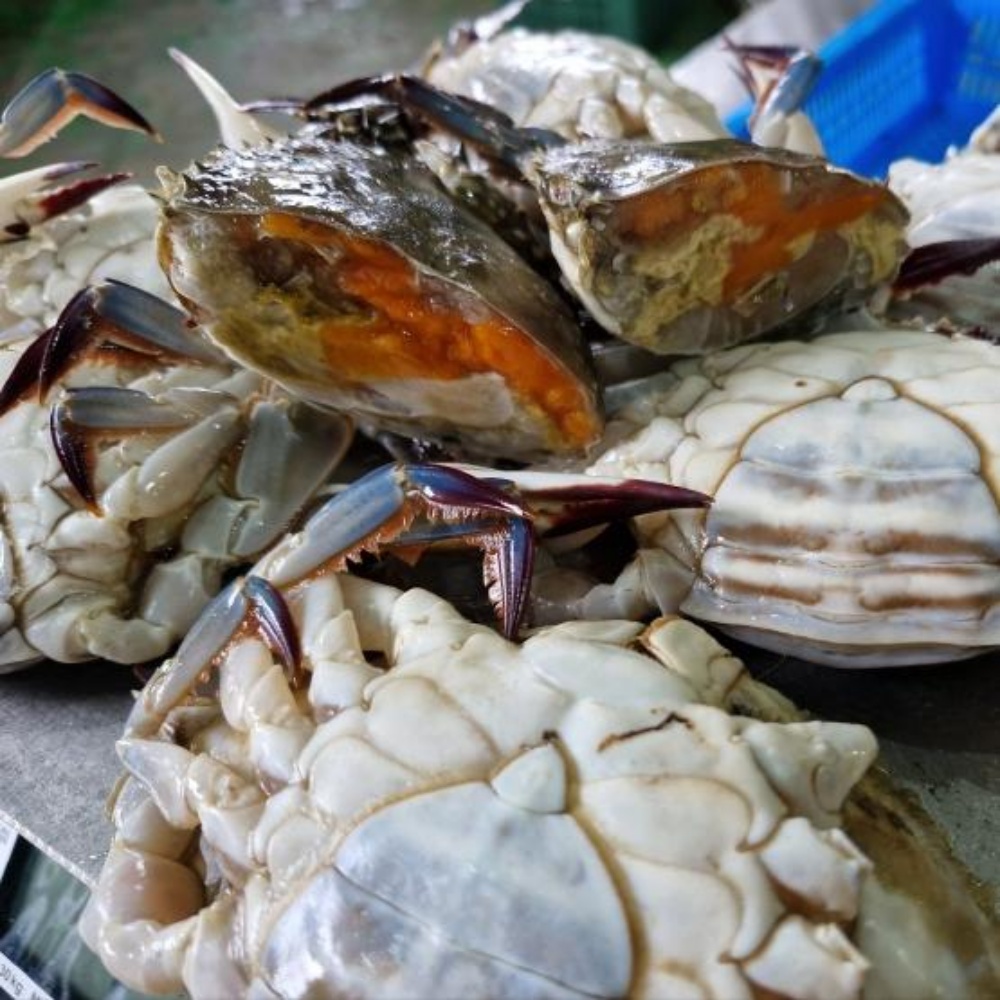 냉동 암꽃게 꽃게 간장게장 양념 서해안 꽂개 서해 꽃개 1kg 급냉 게장용 급랭 암게 - 상세 이미지 5