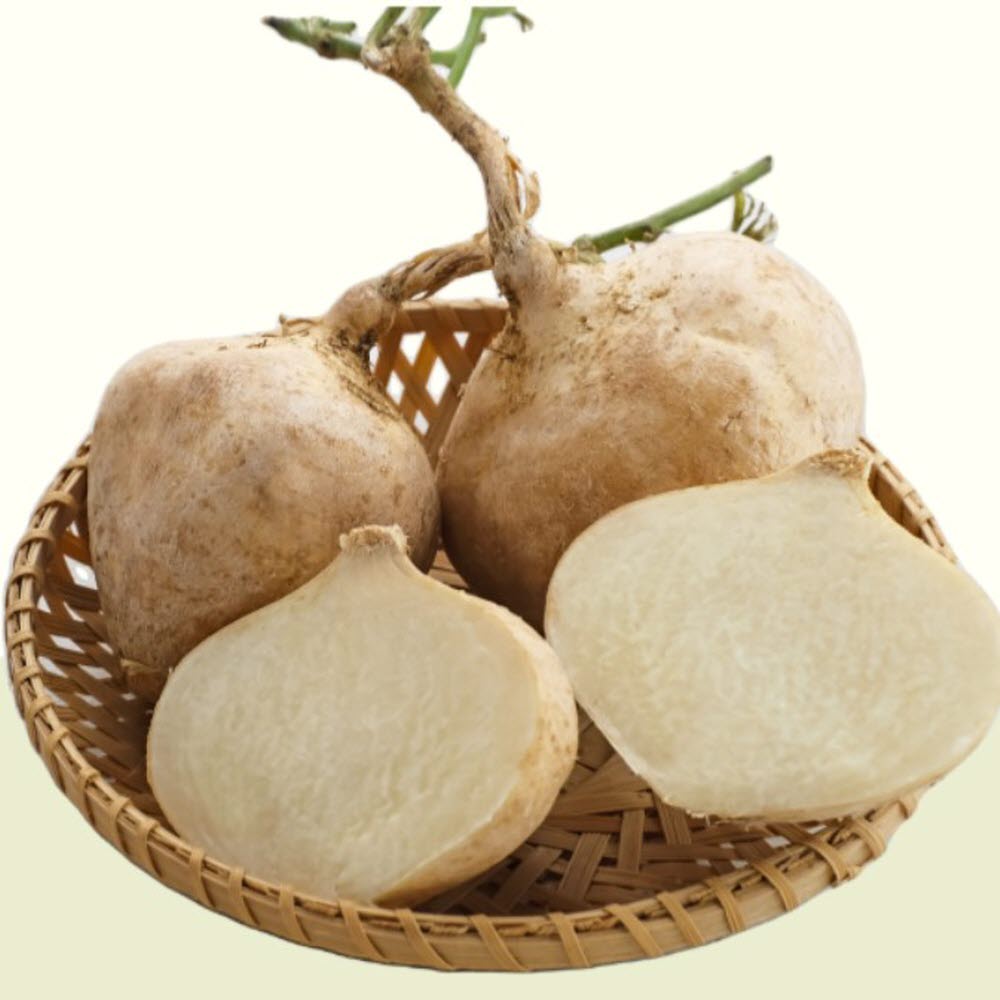 히카마 멕시코 감자 히까마 얌빈 인디언 맥시코 국산 제주도 국내산 효능 3kg - 상세 이미지 5