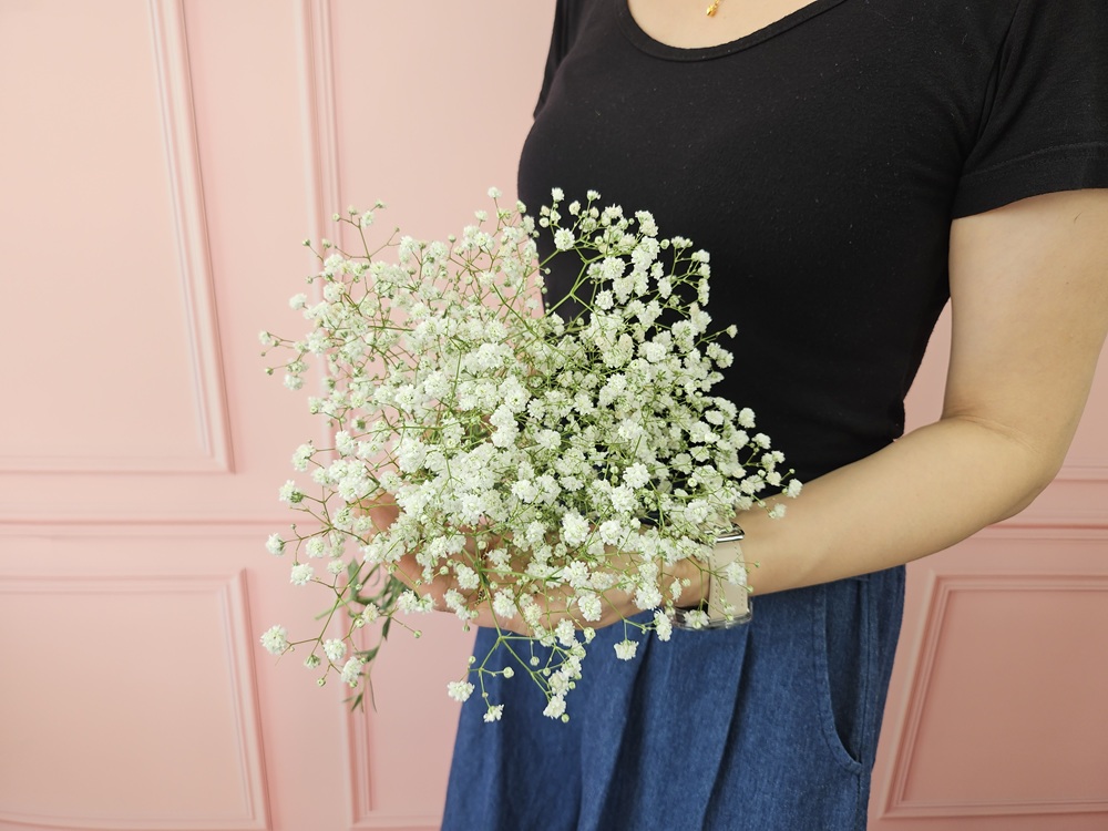 유스풀몰 흰색 안개 소형 생화 꽃배달싼곳 꽃 화훼농가돕기 이미지 2