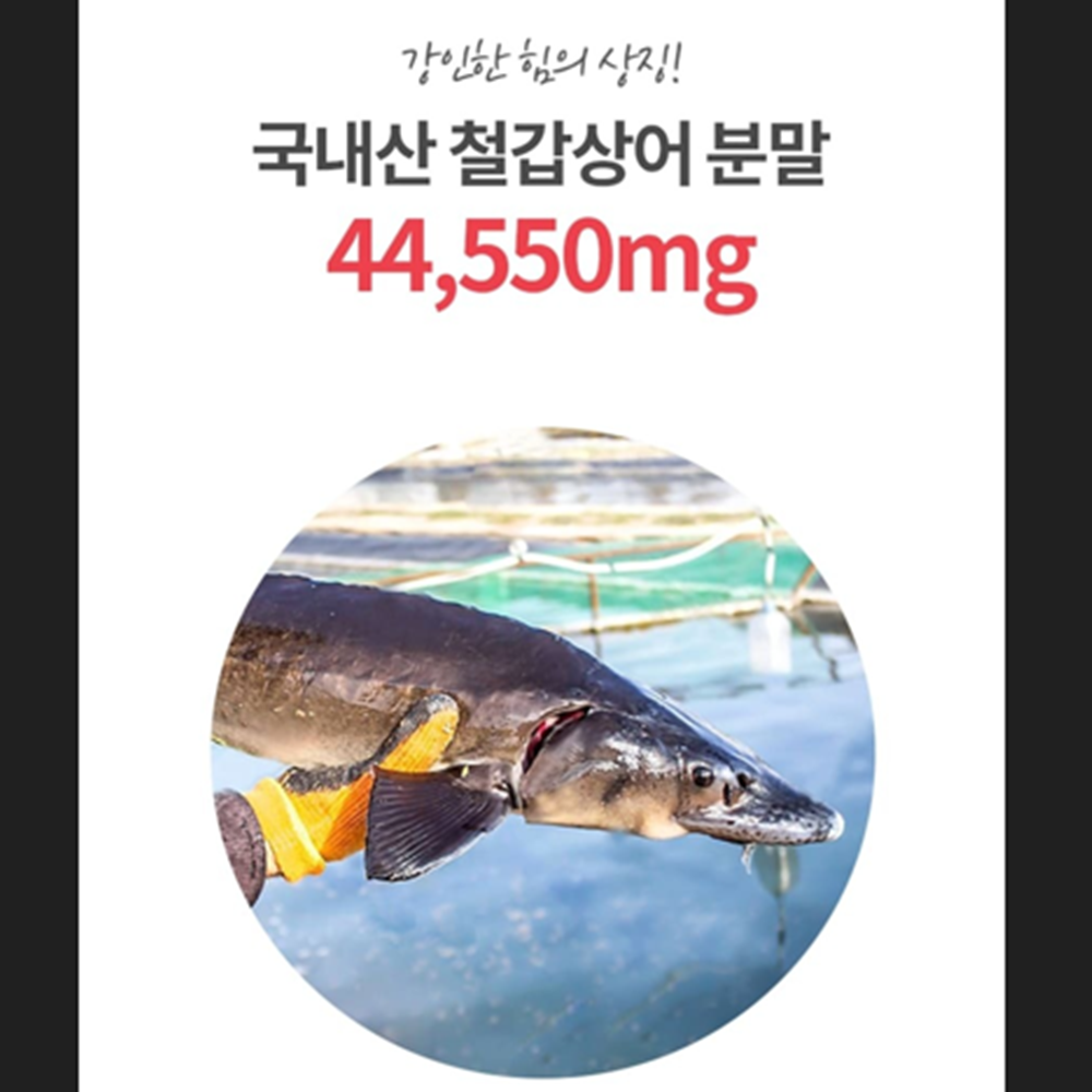 제일헬스사이언스 철갑상어 콘드로이친 180정 6개월 보스웰리아 상어연골 관절 연골 건강 - 상세 이미지 3