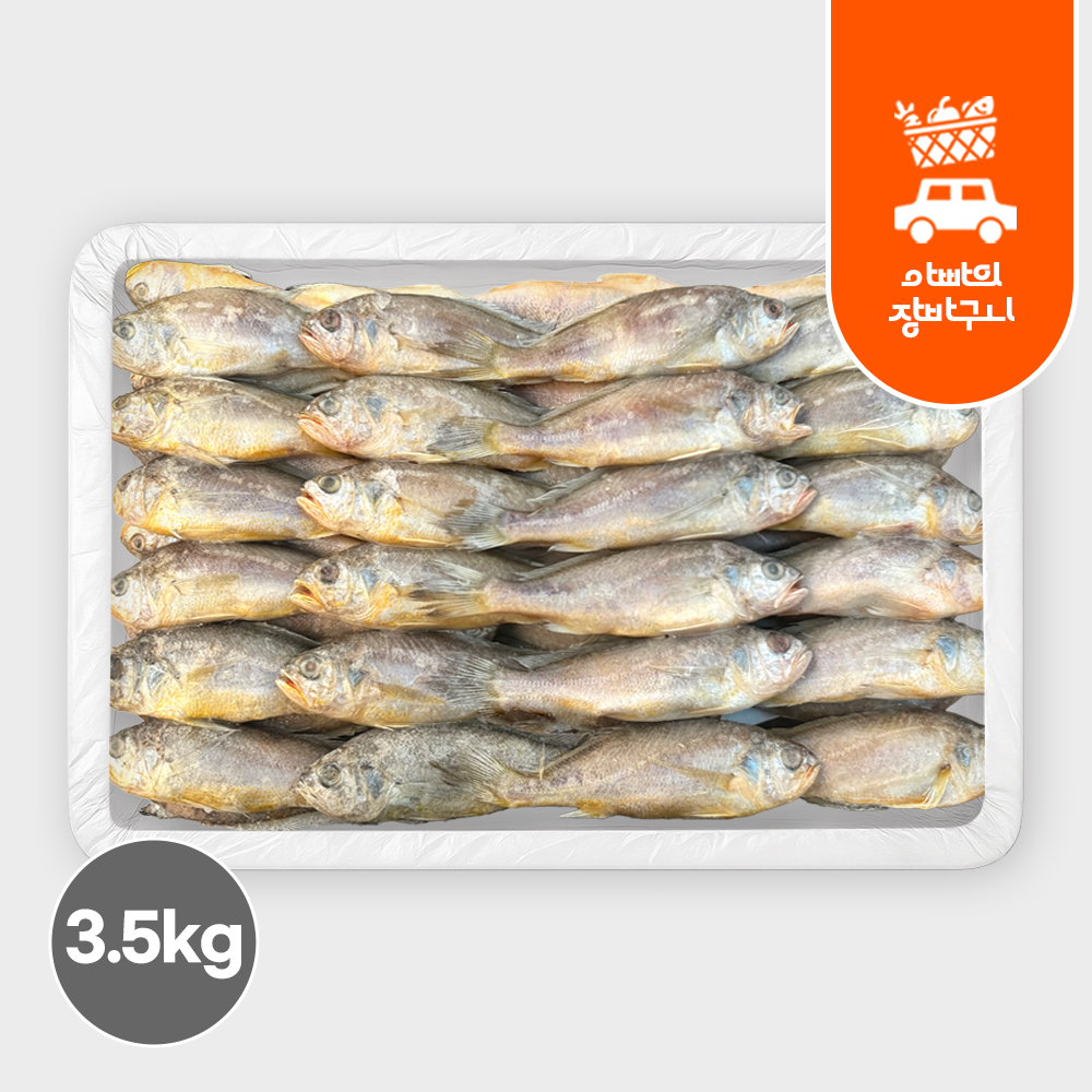 조기 참조기 3.5kg 부세 민어 업소용 도매 냉동 굴비 구이 - 메인 이미지