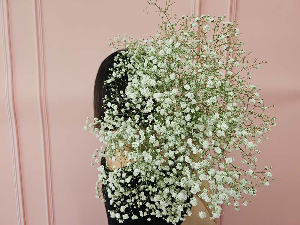 유스풀몰 흰색 안개 소형 생화 꽃배달싼곳 꽃 화훼농가돕기 이미지 4