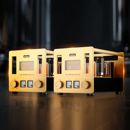 [해외]Oldchen 고출력 845 LC-05 푸시풀 모노블록 진공관 앰프 100+100W