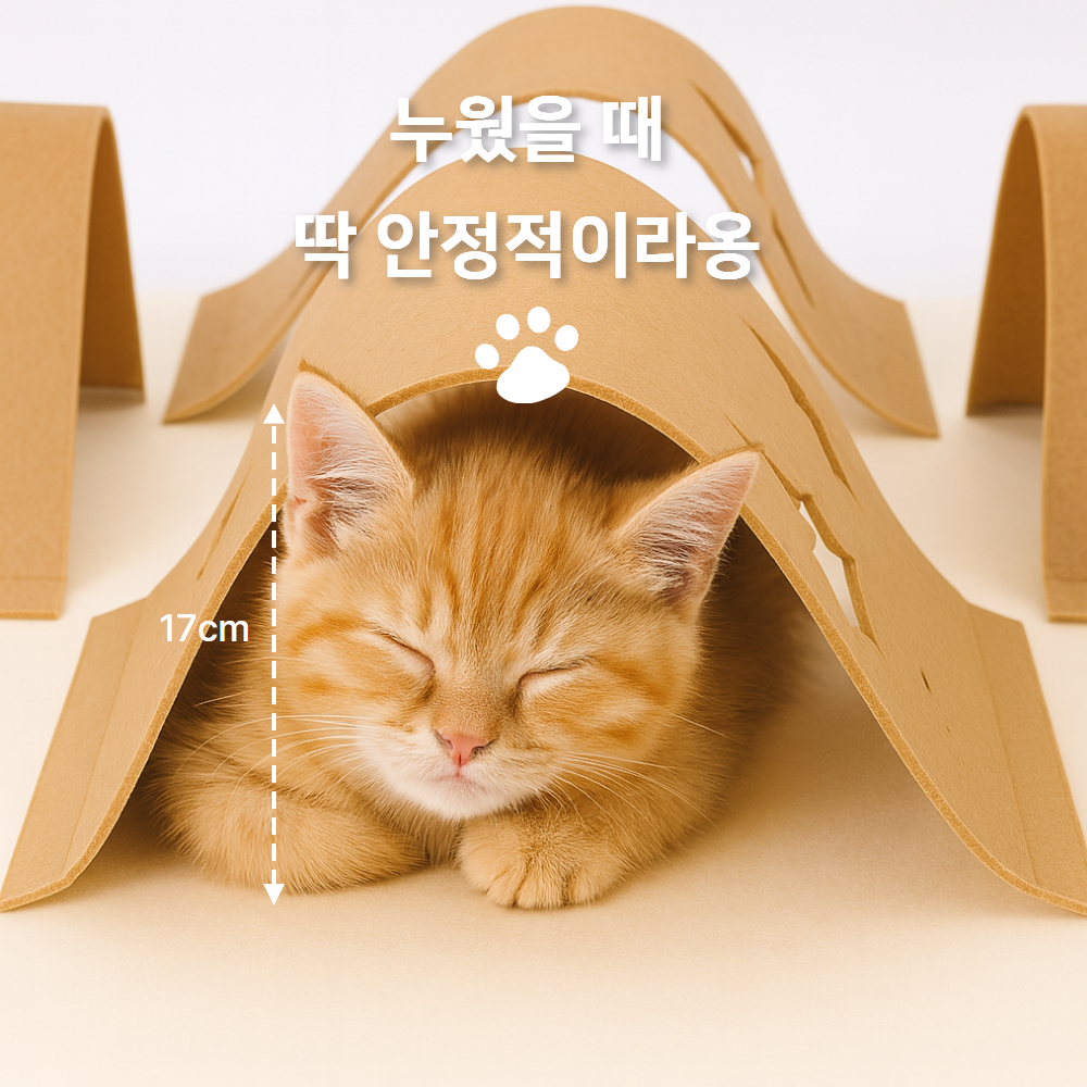 고양이 숨숨집 하우스 숨숨 놀이 터널 침대 집 동굴 텐트 - 상세 이미지 2