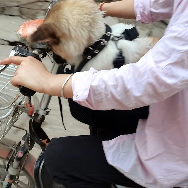 자전거 강아지 캐리어 애견 시트 라이딩 소형견 산책 이동장 트레일러 이동가방 강아지가방 스쿠터용 7.5kg 이하 - 상세 이미지 4